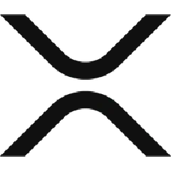 张乐 (Robert Zhang)